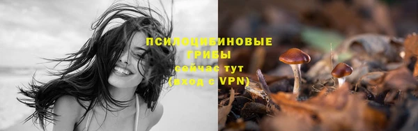 не бодяженный Волосово