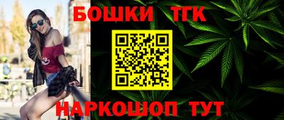 индика Уссурийск