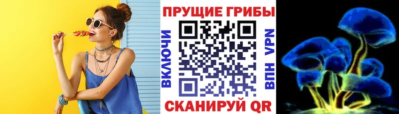 Галлюциногенные грибы Cubensis Мончегорск