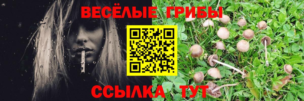Галлюциногенные грибы Magic Shrooms  цены   Мончегорск  Псилоцибиновые грибы Cubensis  Вход с VPN 