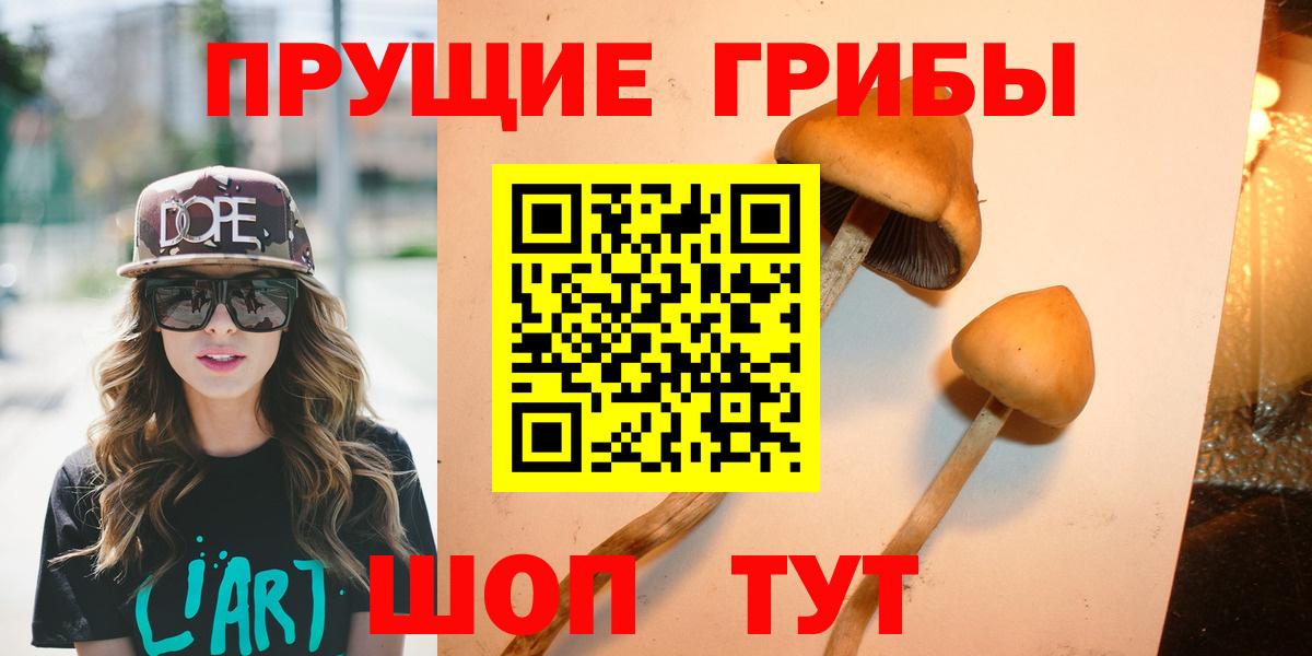 Галлюциногенные грибы Psilocybine cubensis Мончегорск