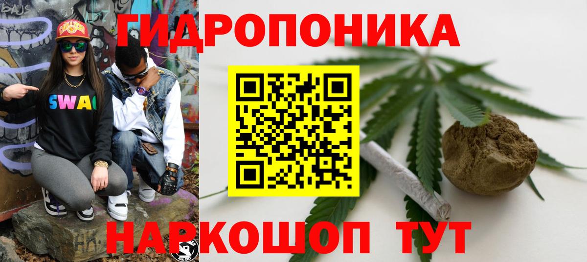 Каннабис гибрид Мончегорск